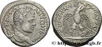 THE SEVERANS (193 AD to 235 AD) Tétradrachme syro-phénicien CARACALLA Séleucie, Syrie, Séleucie et Pierie 215-217 (25mm, 13,23g, 12h) -