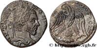 THE SEVERANS (193 AD to 235 AD) Tétradrachme syro-phénicien MACRINUS Émèse, Syrie, Séleucie et Pierie 217-218 (25mm, 11,75g, 6h) -