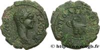 THE SEVERANS (193 AD to 235 AD) Assarion GETA Nicopolis ad Istrum, Mésie Inférieure 199 (18,5mm, 3,42g, 1h) -