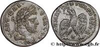 THE SEVERANS (193 AD to 235 AD) Tétradrachme syro-phénicien GETA Laodicée, Syrie, Séleucie et Piérie 209-211 (26mm, 13,04g, 11h) -