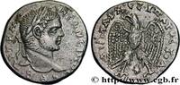 THE SEVERANS (193 AD to 235 AD) Tétradrachme syro-phénicien CARACALLA Laodicée, Syrie, Séleucie et Piérie 215-217 (26mm, 12,01g, 12h) -