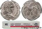 THE SEVERANS (193 AD to 235 AD) Tétradrachme syro-phénicien 214-215 CARA... 735,00 EUR  plus 18,00 EUR verzending