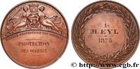 FRANCE Médaille, Société protectrice des animaux, Protect ANIMAUX 1873 (41mm, 32,26g, 12h) -