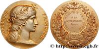 FRANCE Médaille, Ligue maritime française MER ET MARINE : PAQUEBOTS, NAVIRES, BATEAUX n.d. (40,5mm, 35,11g, 12h) -