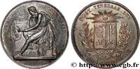 FRANCE Médaille, Université de Genève, Prix de littératur UNIVERSITÉS n.d. (41mm, 34,81g, 12h) -