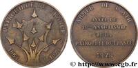 FRANCE Médaille, 25e anniversaire de la patrouille de Fra ARMÉES 1978 (80mm, 162,80g, 12h) -