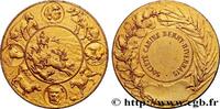 FRANCE Médaille de récompense, Société canine Berry-Niver SOCIÉTÉ CANINE - CHIENS ET CONCOURS n.d. (45mm, 35,47g, 12h) -