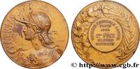 FRANCE Médaille, PATRIA, Société centrale canine SOCIÉTÉ CANINE - CHIENS ET CONCOURS 1934 (51,5mm, 55,62g, 12h) -