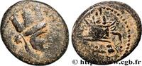 THE JULIO-CLAUDIANS (27 BC to 69 AD) Unité SYRIA - SELEUCIA and PIERIA - ANTIOCHIA Antioche, Syrie, Séleucie et Piérie 77-78 (18,5mm, 5,78g, 12h) -