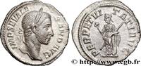 THE SEVERANS (193 AD to 235 AD) Denier SEVERUS ALEXANDER Rome 228 (19,5mm, 2,70g, 6h) -