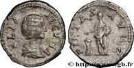 THE SEVERANS (193 AD to 235 AD) Denier JULIA DOMNA Rome 204 (19mm, 2,95g, 12h) -