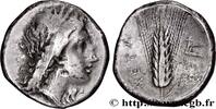 Classic 3 (350 BC to 323 BC) Nomos, statère ou didrachme LUCANIA - METAPONTUM Métaponte, Lucanie c. 330-290 AC. (22mm, 7,77g, 9h) -