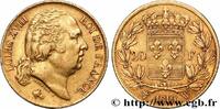 FRANCE 20 francs or Louis XVIII, tête nue LOUIS XVIII Lille 1819 (21mm, 6,42g, 6h) -