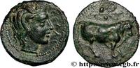 Classic 1 (480 BC to 400 BC) Tetras SICILY - GELA Géla, Sicile c. 420-405 AC. (17,5mm, 3,83g, 11h) -