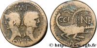 THE JULIO-CLAUDIANS (27 BC to 69 AD) Dupondius COL NEM (as) NEMAUSUS - NIMES - AUGUSTUS and AGRIPPA Nîmes c. 16/15 - 10 AC. (25mm, 12,45g, 2h) -