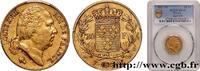 FRANCE 20 francs or Louis XVIII, tête nue LOUIS XVIII Lille 1817 (21mm, 6,45g, 6h) -