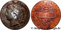 FRANCE Médaille, Concours général agricole, vaches laitiè AGRICULTURE 75 - Paris 1888 (51mm, 56,35g, 12h) -