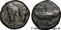 THE JULIO-CLAUDIANS (27 BC to 69 AD) Dupondius COL NEM (as) AUGUSTUS and AGRIPPA Nîmes, Gaule c. 10 AC. - 10 AD. (26mm, 12,71g, 9h) -