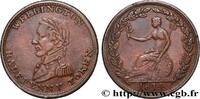 BRITISH TOKENS OR JETTONS 1/2 Penny Wellington BRITISH TOKENS OR JETTONS 1814 (27mm, 6,06g, 6h) -