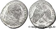 THE SEVERANS (193 AD to 235 AD) Tétradrachme syro-phénicien MACRINUS Émèse, Syrie, Séleucie et Pierie 217-218 (27mm, 14,16g, 12h) -
