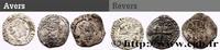 FRANCE Lot de 3 liards au dauphin CHARLES VIII n.d. n.d. (17mm, g, 12h) -
