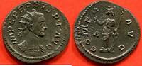Antike Münzen ANTONINIEN PROBUS 276-282 A/ SA TETE RADIEE A DROITE R/COMES AVG MINERVE DEBOUT A GAUCHE, TENANT UNE BRANCHE D'OLIVIER ET APPUYEE SUR UN -