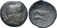 Greek - Skythia AE 2nd century BC - Olbia - aVF 70,00 EUR  Excl. 8,00 EUR Verzending