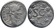Roman Provincial - Seleucis and Pieria AE AD 138-161 - Antioch. Antoninus Pius - aVF