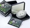 Fiji 10 dollars Fiji 10 dollars Endangered Wildlife Giant Panda Bear Fauna silver coin 2013 -