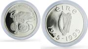 Ireland 1 pound Ireland 1 pound United Nations UN Dove Birds History proof silver coin 1995 -