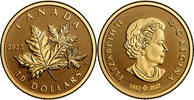 Canada Canada 2023 10$ Everlasting Maple Leaf 1/20 oz Pure Gold Coin 10$ 2023 Reverse Proof
