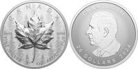 Canada 20$ 2024 MAPLE LEAF Forest SML Ultra High Relief 1 oz Silver Coin  134,99 EUR Gratis verzending
