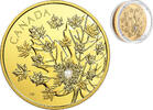 Canada 250$ 2018 The Magnificent MAPLE Canadian Diamond Pure Gold Coin  9999,00 EUR Gratis verzending