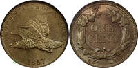 USA 1C CENT Flying Eagle Cent -