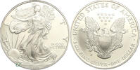 United States Dollar Silver Eagle Proof -