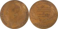 Netherlands Historical medal Wilhelmina - International Congress of Psychiatry - P. Pander -