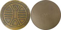 Netherlands / Vlaardingen Historical medal Council for Sports and Recreation -