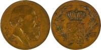Netherlands Historical medal honorary Medal of King Willem III -