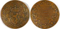 Netherlands Historical medal Visit of Queen Wilhelmina & Prince Hendrik to North Brabant - Van Goor -