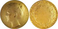 Netherlands Historical medal Wilhelmina - Dutch Association for Physical Education Group Prize -