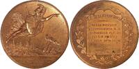 Belgium Historical medal Compagnies commerciales d’assurances, Administrateurs / Braemt Galvano -