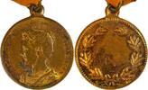 Netherlands Historical medal Wilhelmina, Queen of the Netherlands – Honorary medal with laurel wreath -