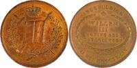 Netherlands Historical medal Inauguration of King Willem III in Amsterdam / J. P. Schouberg -
