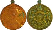 Netherlands Historical medal Inauguration of Queen Wilhelmina / C.J Begeer -