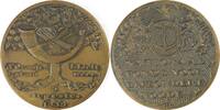 Netherlands Historical medal Birth of Princess Irene - Nationaal Fonds Bijzondere Nooden -