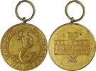 Poland Historical medal Medal for Warsaw -