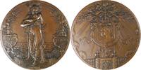 Netherlands Historical medal Birth of Princess Juliana (1909 - 2004) - By J.C Wienecke - Scare -