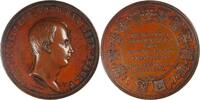 Netherlands Historical medal Coming of Age of Crown Prince Willem - De Vries -