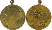 Netherlands Historical medal Queen Wilhelmina - 25th Anniversary 1898-1923 - By Tjipke Visser. -