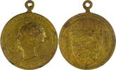 Netherlands Historical medal Queen Wilhelmina 50th birthday -